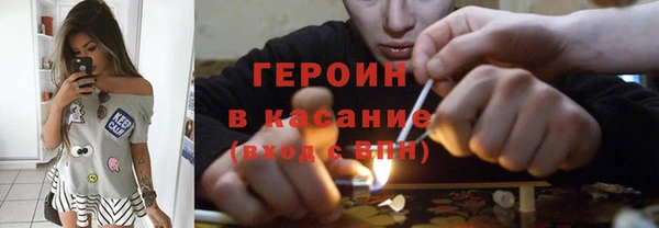 индика Пенза