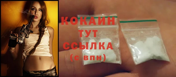 прущие грибы Вяземский