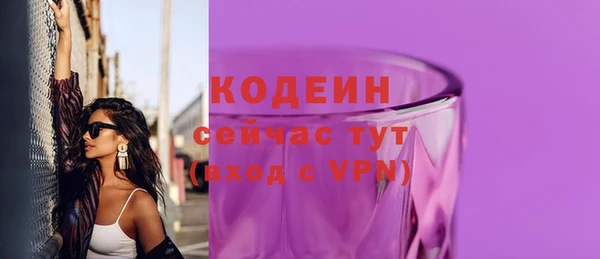 прущие грибы Вяземский