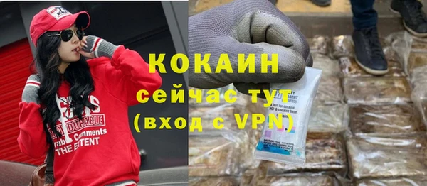 прущие грибы Вяземский