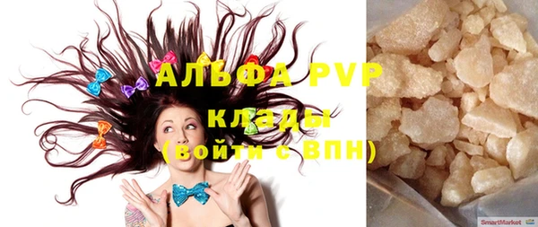 прущие грибы Вяземский