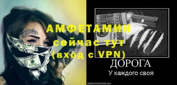прущие грибы Вяземский